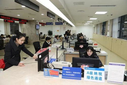 政策保障、精准服务、法治护航 黔江民营经济总盘子越做越大