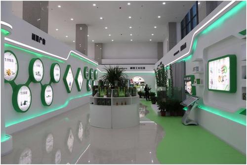 周口市电商扶贫结硕果 企业项目孵化带动百姓增收成效显著